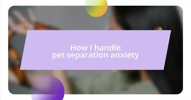 How I handle pet separation anxiety