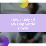 How I Helped My Dog Settle Down