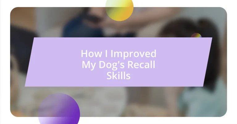 How I Improved My Dog’s Recall Skills