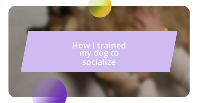 How I trained my dog to socialize