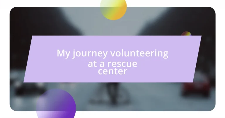 My journey volunteering at a rescue center