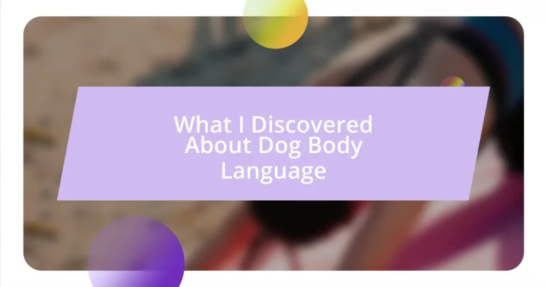 What I Discovered About Dog Body Language