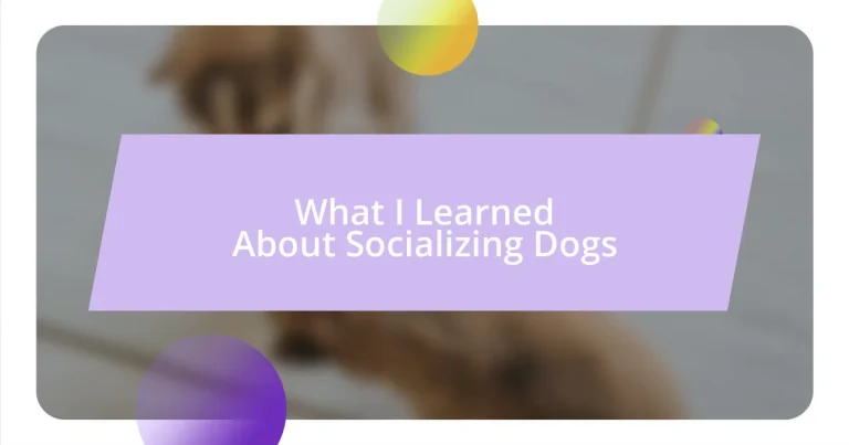 What I Learned About Socializing Dogs